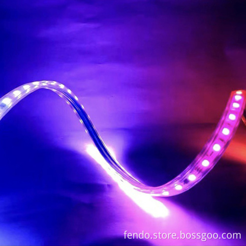 220V IP67 Outdoor 60LED 5050 RGB High Voltage Flexible LED Strip